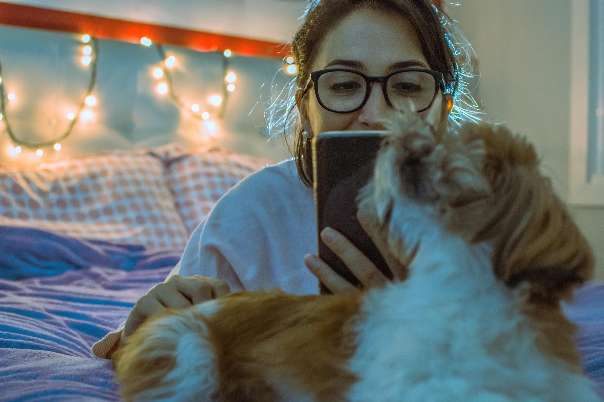 Capture Every Cute Moment: Simplifying Pet Care with Animo
