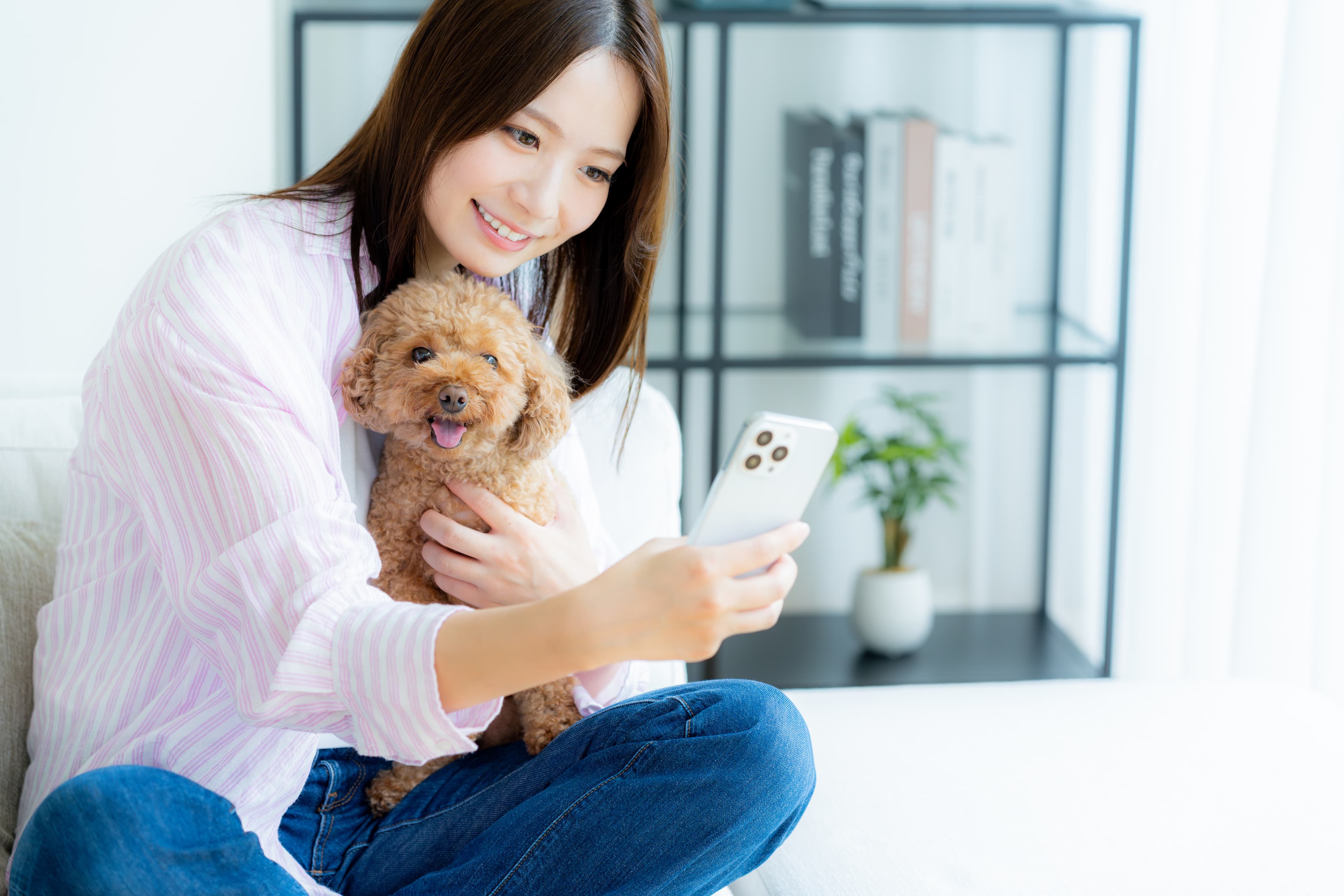 Quick Tips: Using AI to Nail Your Pet's Daily Routine